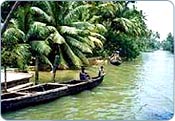 Alleppey Backwaters