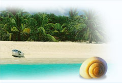 Spiaggia Di India