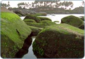 Dona Paula Beach , Goa