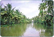 Kumarakom Backwaters